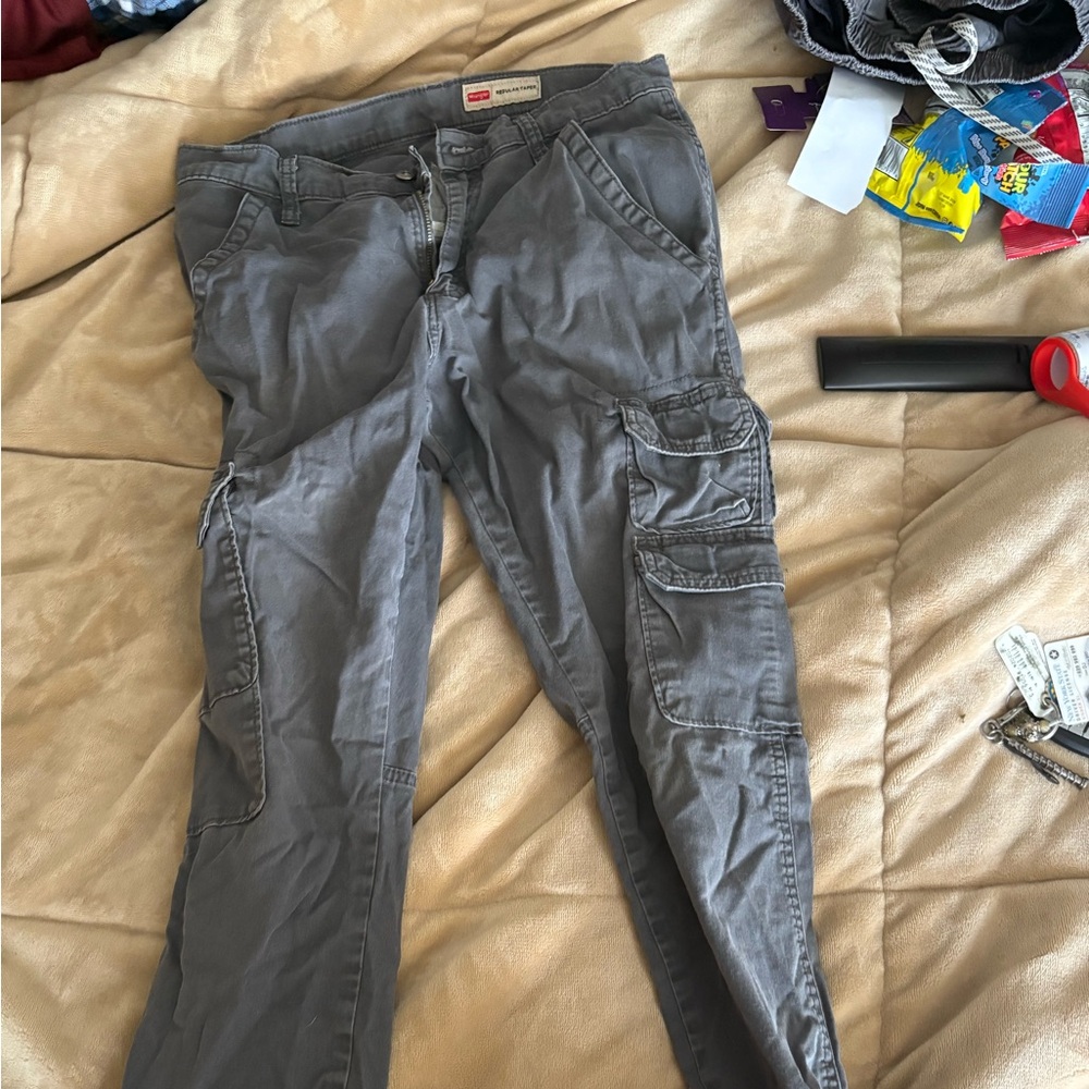Wrangler Gray Cargo Pants for Men